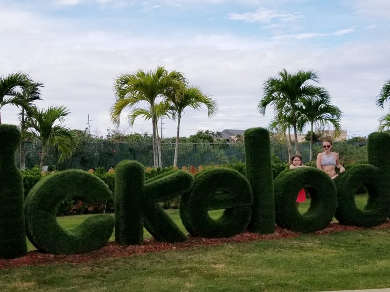 The York’s Nickelodeon&nbsp;Adventure